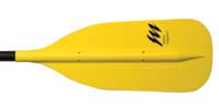 Trophy Moll Paddle