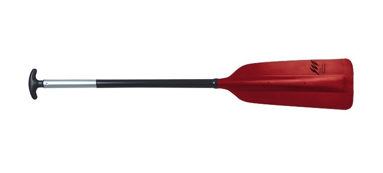 Moll Dragon Training, dragon boat paddle